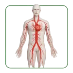 Anticoagulanti