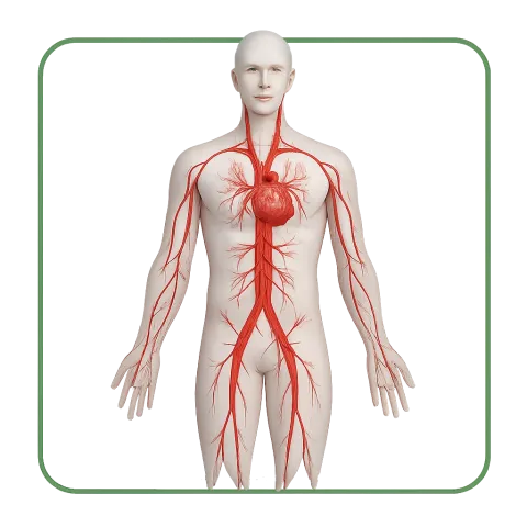 Anticoagulanti