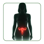 Contraccettivi