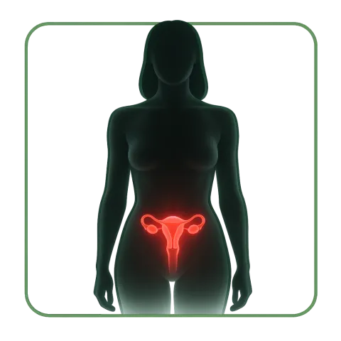 Contraccettivi