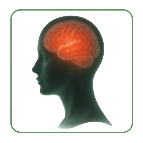 Antidepressivi
