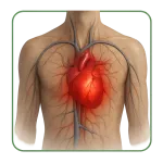 Malattie cardiovascolari