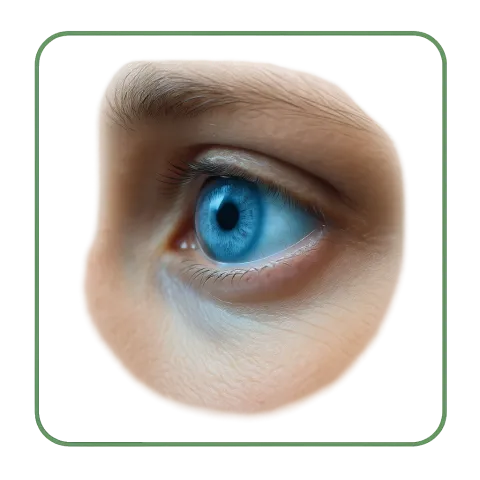 Gocce Oculari