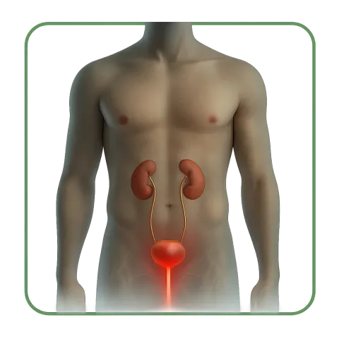 Infezione urinaria