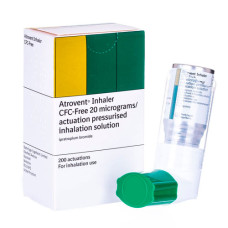 Atrovent Inalatore 20 mcg